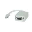 DisplayPort Adapters