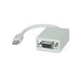 DisplayPort Adapters