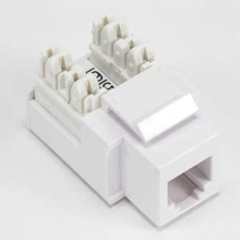 RJ11/RJ12 Insert White - 110 Punchdown Enabled