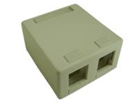 Blank Surface Mount Box, 2-Port - Ivory