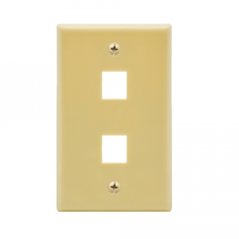 Dual OUTLET FLUSH Wall Plate- Ivory