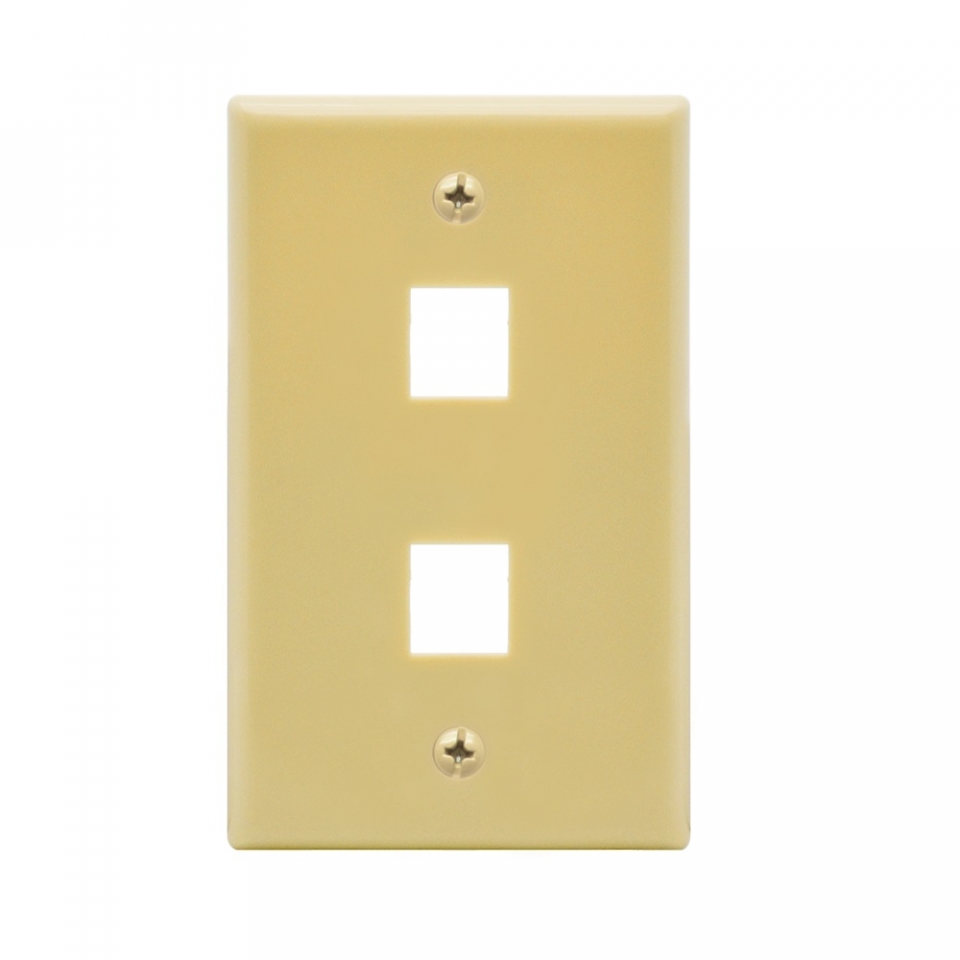 Dual OUTLET FLUSH Wall Plate- Ivory