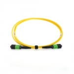 MPO 12 Connector APC Singlemode Fiber Optic Cable - 25 Meter- Choose Method A/B