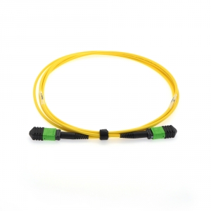 MPO 12 Connector Singlemode Fiber Optic Cable- 1 Meter- Choose Method A/B