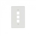3-PORT OUTLET FLUSH Wall Plate