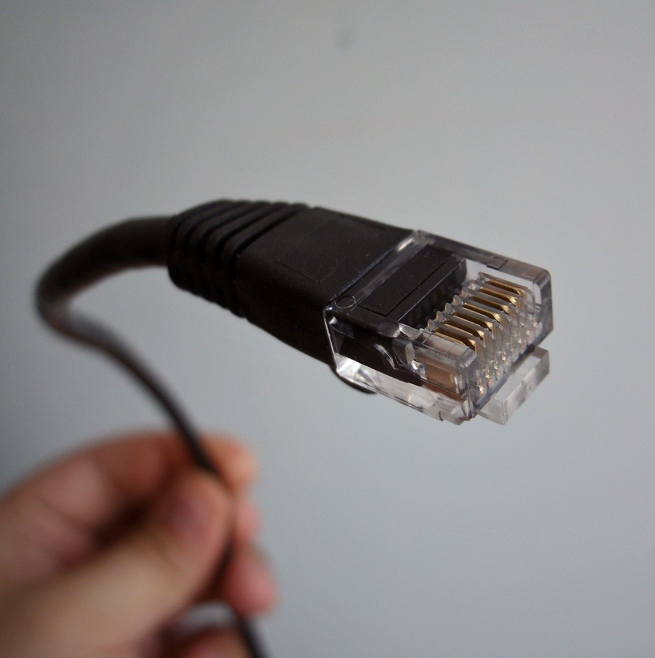 ethernet-cable.jpg