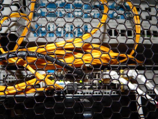 Why Buy Plenum Cat6 Cables?