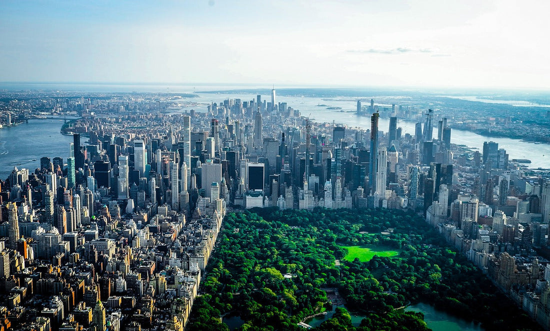 Cables.com: The Top Ethernet Cables Company in New York