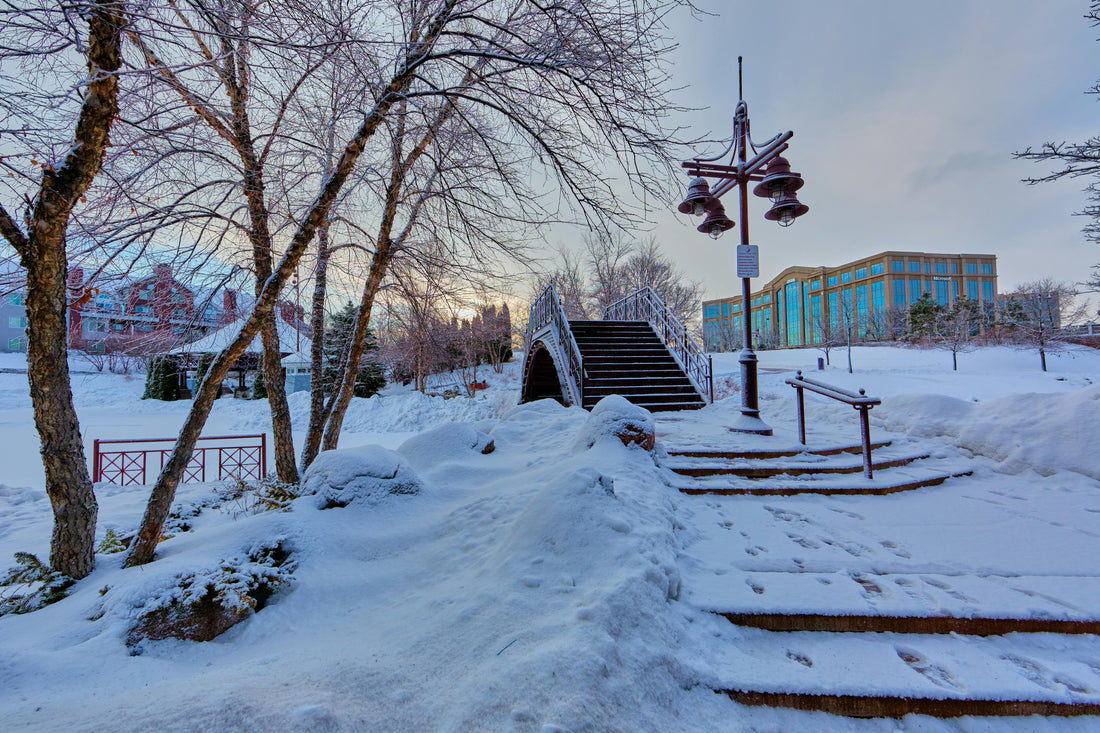 Winter-Ready Outdoor Cables